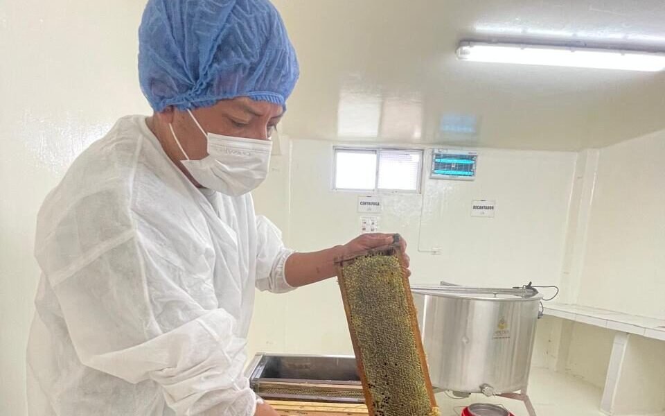 whatsapp image 2026 02 06 at 8.11.25 pm (1)