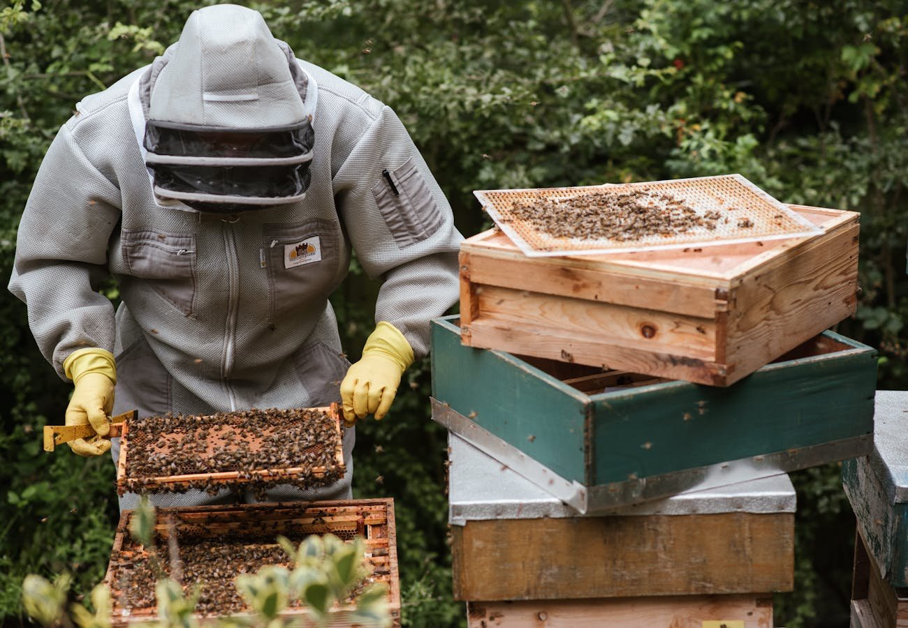 pexels photo 5247987.jpeg